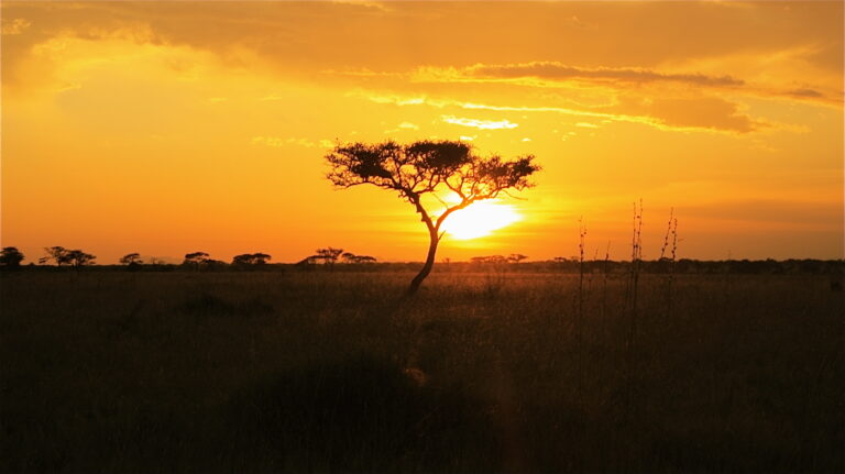 SUDÀFRICA, i PARK KRUGER