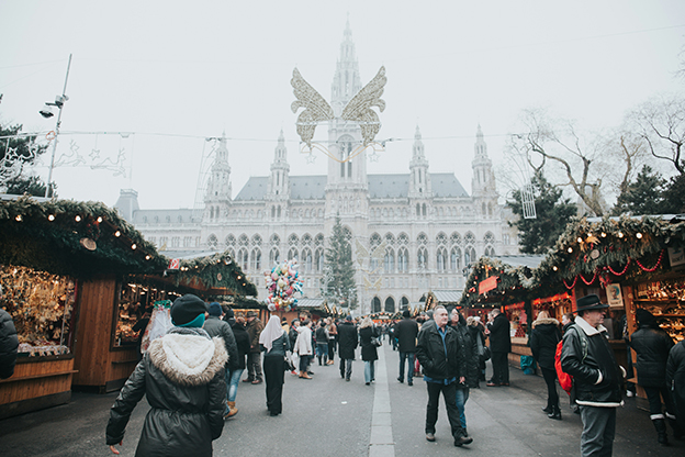 Mercats de Nadal a VIENA   4 díes